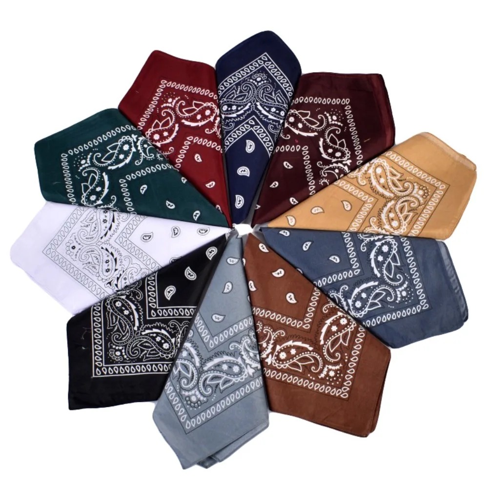 Hip Hop Cowboy Paisley Scarf L - Ascot Neck Scarf 리뷰 및 가격