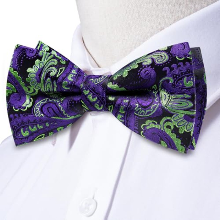 Mens Paisley Striped Bowtie Se - Bow Tie Pre Tied 리뷰 및 가격