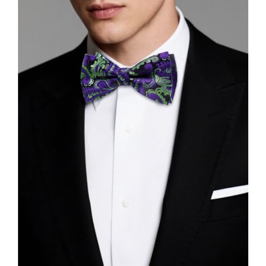 Mens Paisley Striped Bowtie Se - Bow Tie Pre Tied 리뷰 및 가격